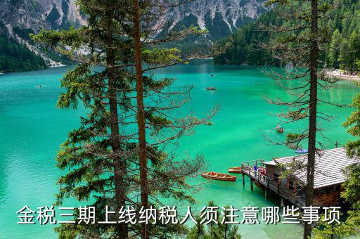 金稅三期山東什么時(shí)間啟用，金稅三期問(wèn)題