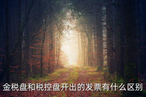 金稅盤和稅控盤是什么，金稅盤和稅控盤開出的發(fā)票有什么區(qū)別