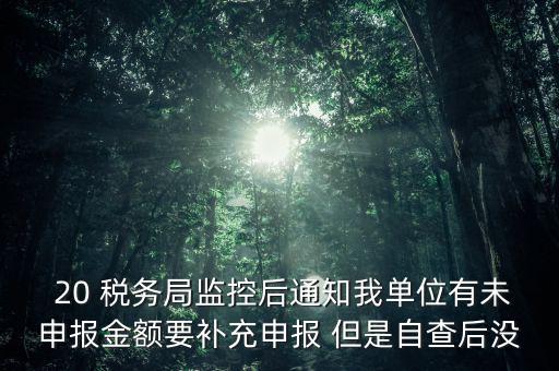 稅務(wù)局為什么風(fēng)險報告，稅務(wù)局發(fā)來稅遵從風(fēng)險分析報告什么意思