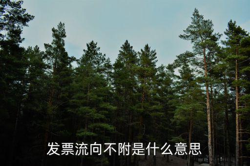 什么是流向票，發(fā)票流向不附是什么意思