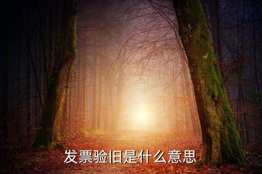 增值稅驗舊是什么意思，發(fā)票驗證時提示舊系統(tǒng)已驗舊是什么意思