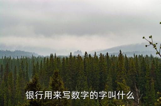 銀行用來寫數字的字叫什么