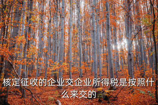 核定稅稅率是按照什么作參照的，稅率按照哪個來定