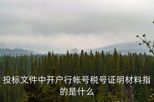 投標(biāo)文件中開(kāi)戶行帳號(hào)稅號(hào)證明材料指的是什么