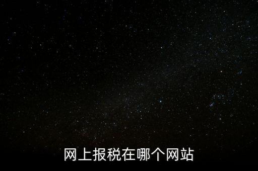 廣西網(wǎng)上辦稅的網(wǎng)址是什么意思，網(wǎng)上報(bào)稅在哪個(gè)網(wǎng)站