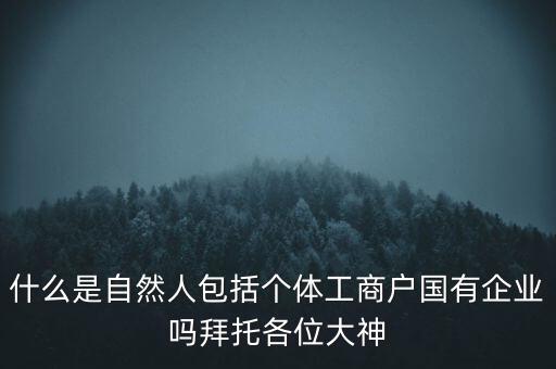 什么是稅務(wù)中的自然人，會計(jì)中自然人所指的是那種人