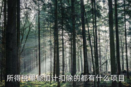 什么企業(yè)加計(jì)扣除，人員工資加計(jì)扣除政策是什么意思