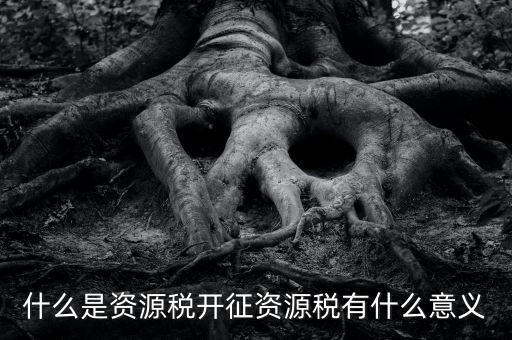 為什么開證資源稅，什么是資源稅開征資源稅有什么意義
