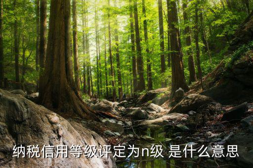 國(guó)稅信用級(jí)別是什么，納稅信用等級(jí)評(píng)定為n級(jí) 是什么意思
