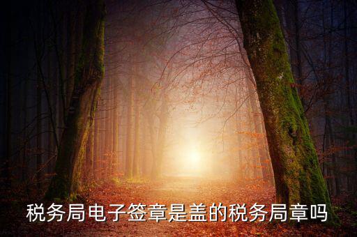 稅務(wù)局電子簽章是什么，在國稅系統(tǒng)電子簽章時為什么不是每次都提示輸入口令