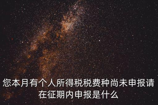 您本月有個人所得稅稅費(fèi)種尚未申報請在征期內(nèi)申報是什么