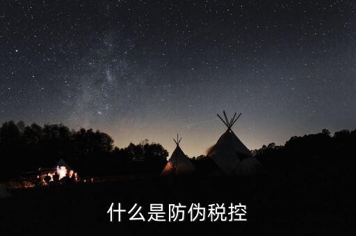 防偽稅控盤什么，什么是防偽稅控