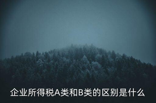 企業(yè)所得稅b類(lèi)是什么意思，企業(yè)所得稅A類(lèi)和B類(lèi)的區(qū)別是什么