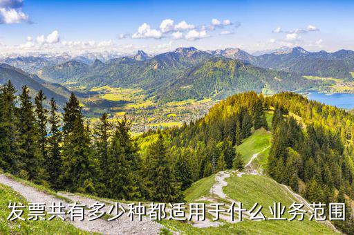 什么業(yè)務(wù)應(yīng)該專業(yè)發(fā)票，單位收費(fèi)開(kāi)票1定要專業(yè)的