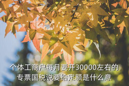 國稅定額是什么意思，個(gè)體工商戶每月要開30000左右的專票國稅說要給定額是什么意