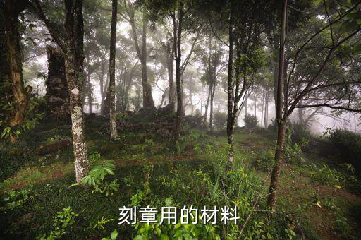 國家規(guī)定專用章用什么材質(zhì)的，刻章用的材料