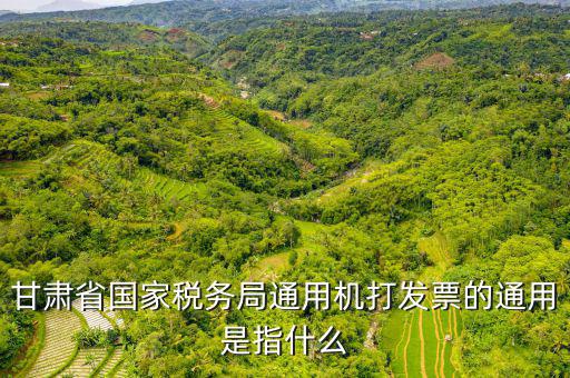 山西省稅務(wù)局六最是指什么，甘肅省國家稅務(wù)局通用機(jī)打發(fā)票的通用是指什么