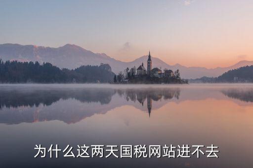 為什么濟(jì)南國(guó)稅網(wǎng)站進(jìn)不去，為什么這兩天國(guó)稅網(wǎng)站進(jìn)不去
