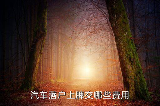 新車上牌要交什么稅，汽車落戶上牌交哪些費(fèi)用