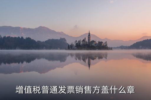 發(fā)票稅務(wù)章什么樣的，增值稅普通發(fā)票銷售方蓋什么章