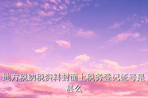 地方稅納稅資料封面上稅務登記證號是甚么