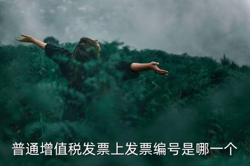 增值稅編號(hào)是什么，普通增值稅發(fā)票上發(fā)票編號(hào)是哪一個(gè)