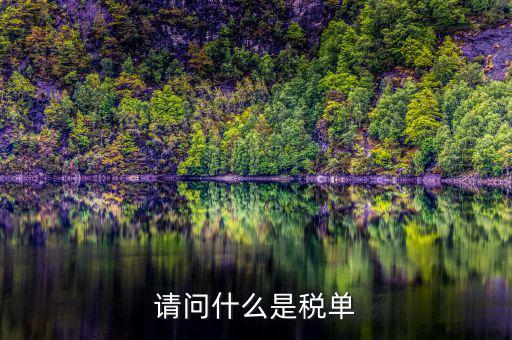 納稅申報單是什么，網上申報納稅都是什么報表 如何操作 簡單么