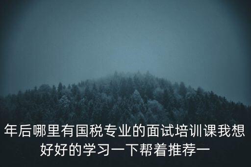年后哪里有國稅專業(yè)的面試培訓課我想好好的學習一下幫著推薦一
