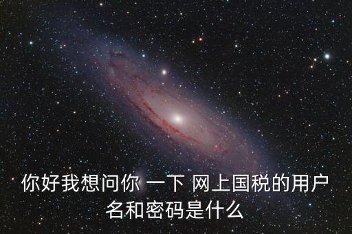 你好我想問你 一下 網上國稅的用戶名和密碼是什么