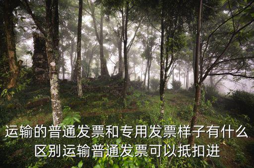 運(yùn)輸?shù)钠胀òl(fā)票和專(zhuān)用發(fā)票樣子有什么區(qū)別運(yùn)輸普通發(fā)票可以抵扣進(jìn)