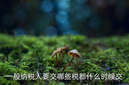 一般納稅人什么時(shí)候交稅，一般納稅人 普通發(fā)票開(kāi)具后多長(zhǎng)時(shí)間繳稅