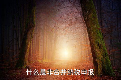 什么是非匯總納稅企業(yè)，什么是跨區(qū)經(jīng)營匯總納稅企業(yè)