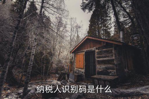 稅務(wù)識(shí)別碼有什么用，納稅人識(shí)別碼是什么
