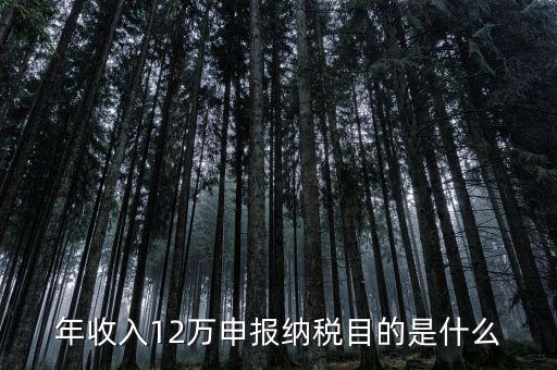 為什么12萬要報稅，年收入12萬個稅申報為什么要申報