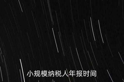 納稅申報年報什么時候，小規(guī)模納稅人年報時間