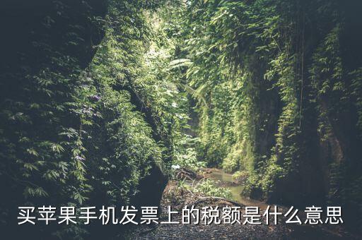 發(fā)票上的稅額是什么意思，買蘋果手機(jī)發(fā)票上的稅額是什么意思