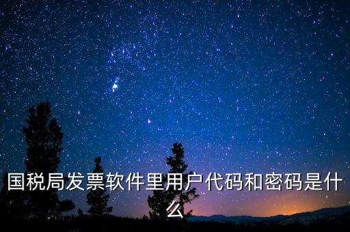 登錄稅務開票密碼是什么，國稅第一次網上申報的登陸密碼是什么