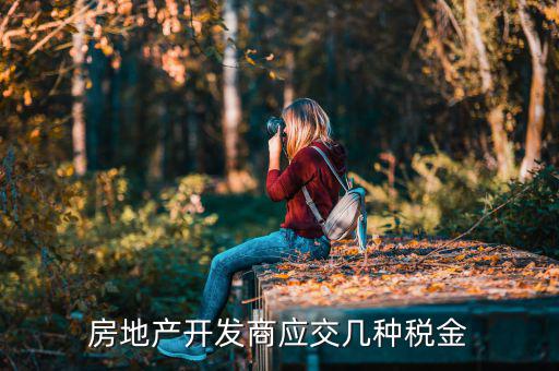 房地產(chǎn)公司交什么稅，房地產(chǎn)公司都要交什么稅