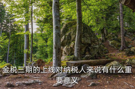 金三稅系統(tǒng)什么時(shí)間上線的，2016年金稅三期上線那金稅三期到底是啥呢