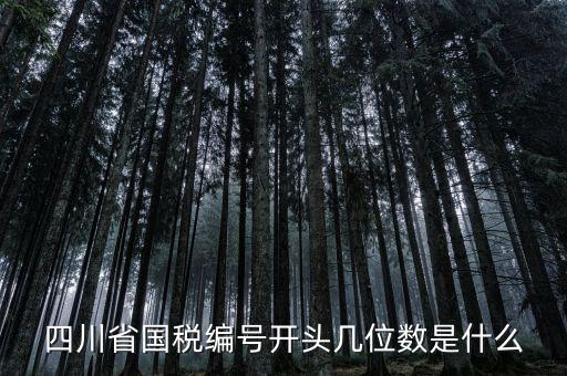 四川省國(guó)稅編號(hào)開(kāi)頭幾位數(shù)是什么