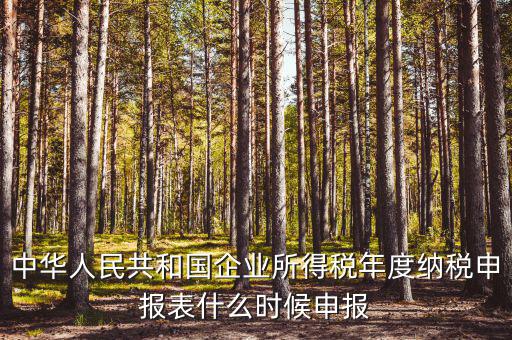 國(guó)稅企業(yè)所得稅什么時(shí)候申報(bào)，企業(yè)所得稅申報(bào)時(shí)間