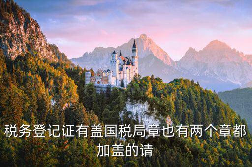 財稅證書什么樣，娛樂場所稅務(wù)登記證是什么樣子