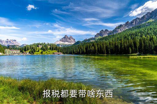 申報繳稅帶什么，報稅都要帶啥東西
