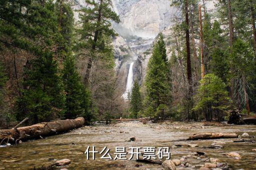 離線開票認證碼是什么，國稅機打發(fā)票驗證碼是什么機打發(fā)票的軟件需要指定公司安裝嗎