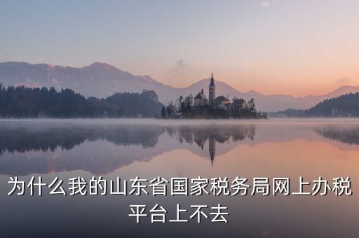 為什么登陸不了網(wǎng)上辦稅廳，為什么我的山東省國家稅務局網(wǎng)上辦稅平臺上不去