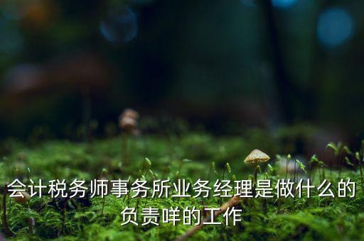 稅務(wù)師事務(wù)所做什么的，稅務(wù)所是干什么的
