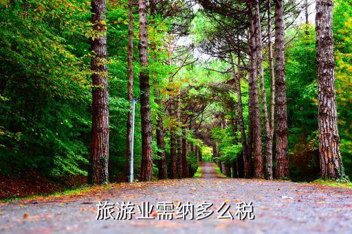 旅游業(yè)是什么稅，旅游行業(yè)需要交納什么稅呢