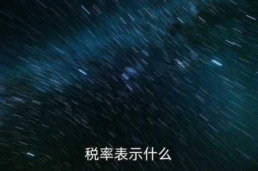 納稅代表什么，稅率表示什么