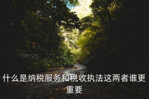 什么是納稅服務(wù)，什么是納稅服務(wù)和稅收執(zhí)法這兩者誰更重要