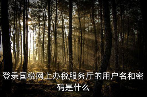 國稅網(wǎng)上登錄密碼是什么意思，國稅第一次網(wǎng)上申報的登陸密碼是什么